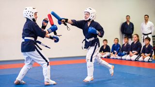 Photo du cours Yoseikan Budo